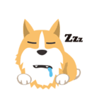 Pocky the Corgi（個別スタンプ：12）