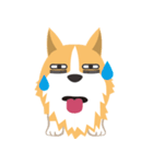 Pocky the Corgi（個別スタンプ：13）