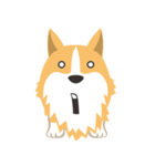 Pocky the Corgi（個別スタンプ：16）