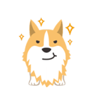 Pocky the Corgi（個別スタンプ：17）