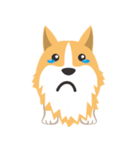 Pocky the Corgi（個別スタンプ：19）