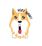 Pocky the Corgi（個別スタンプ：22）