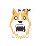 Pocky the Corgi（個別スタンプ：27）