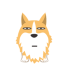 Pocky the Corgi（個別スタンプ：31）