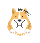 Pocky the Corgi（個別スタンプ：37）