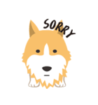 Pocky the Corgi（個別スタンプ：40）