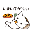 にゃんこだらけ。（個別スタンプ：13）