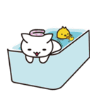 にゃんこだらけ。（個別スタンプ：25）