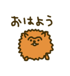 つながり眉毛のポメラニアン（個別スタンプ：1）