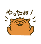 つながり眉毛のポメラニアン（個別スタンプ：16）