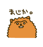 つながり眉毛のポメラニアン（個別スタンプ：19）