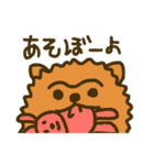 つながり眉毛のポメラニアン（個別スタンプ：40）