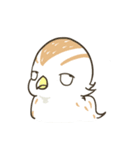 QuailBB（個別スタンプ：2）