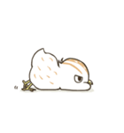 QuailBB（個別スタンプ：8）