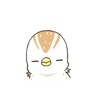 QuailBB（個別スタンプ：18）