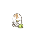QuailBB（個別スタンプ：27）