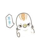 QuailBB（個別スタンプ：30）