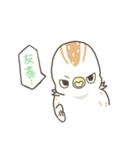 QuailBB（個別スタンプ：31）