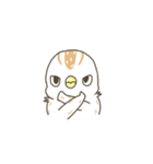 QuailBB（個別スタンプ：35）
