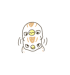 QuailBB（個別スタンプ：36）
