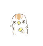 QuailBB（個別スタンプ：38）