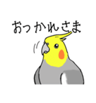 オカメインコの会話スタンプ（個別スタンプ：4）