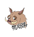 Wild Boar of Tuscany（個別スタンプ：16）
