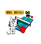 卓球をする猫の銀ちゃん（個別スタンプ：6）
