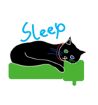 Tiny Black cat（個別スタンプ：2）
