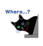 Tiny Black cat（個別スタンプ：5）
