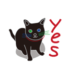 Tiny Black cat（個別スタンプ：8）