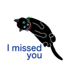 Tiny Black cat（個別スタンプ：16）