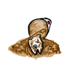 Trash Fish（個別スタンプ：33）