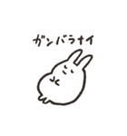 シラタマウサギ（個別スタンプ：28）