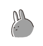 シラタマウサギ（個別スタンプ：36）
