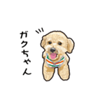 可愛い犬の日常（個別スタンプ：9）