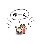 新 しりあいの犬（個別スタンプ：19）