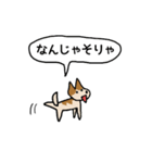 新 しりあいの犬（個別スタンプ：20）