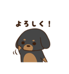 ダックスすたんぷ。（個別スタンプ：4）