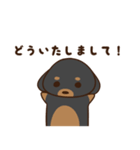 ダックスすたんぷ。（個別スタンプ：5）