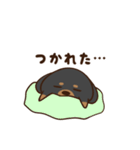 ダックスすたんぷ。（個別スタンプ：10）