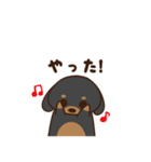 ダックスすたんぷ。（個別スタンプ：12）