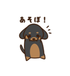 ダックスすたんぷ。（個別スタンプ：13）