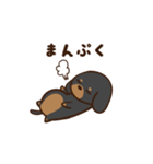 ダックスすたんぷ。（個別スタンプ：17）
