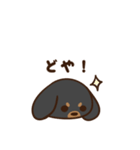 ダックスすたんぷ。（個別スタンプ：18）