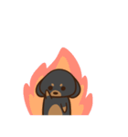 ダックスすたんぷ。（個別スタンプ：20）