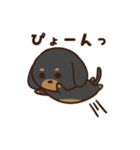 ダックスすたんぷ。（個別スタンプ：30）