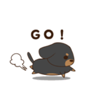 ダックスすたんぷ。（個別スタンプ：34）