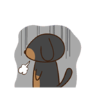 ダックスすたんぷ。（個別スタンプ：37）
