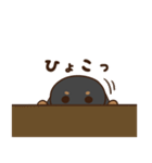ダックスすたんぷ。（個別スタンプ：40）